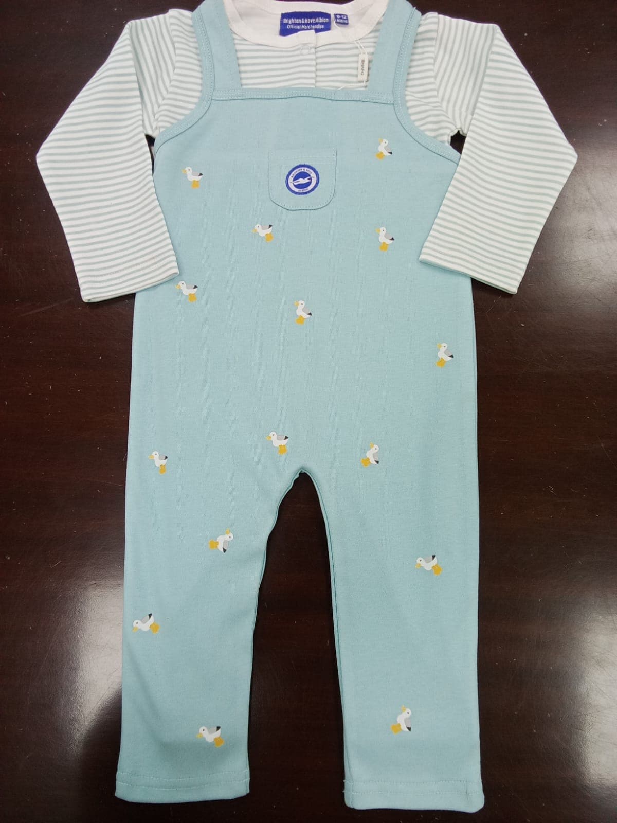 Baby Bodysuits